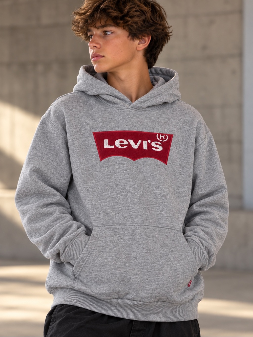 Levi’s Boys Gray Batwing Logo Pullover Hoodie Size Large Red White Graphic